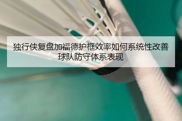 独行侠复盘加福德护框效率如何系统性改善球队防守体系表现