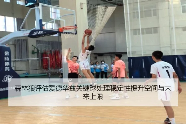 森林狼评估爱德华兹关键球处理稳定性提升空间与未来上限