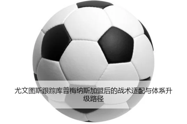 img_1783078956030_376_1_664.jpg