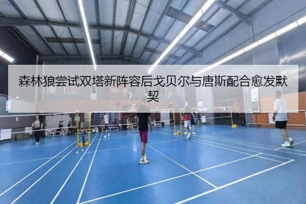 森林狼尝试双塔新阵容后戈贝尔与唐斯配合愈发默契